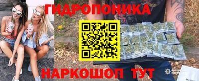 крисы Заводоуковск