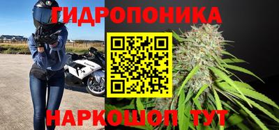 амф Заволжье