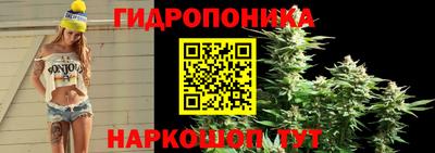 крисы Заводоуковск